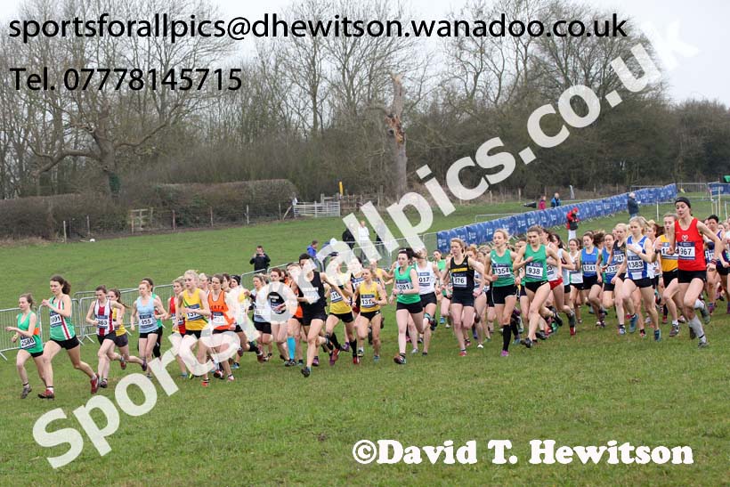 Senior womens Inter Counties Cross Country, Prestwold Hall, Loughborough. Photo: David T. Hewitson/Sports for All Pics